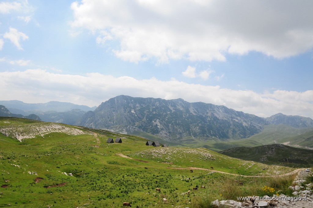 Parco Nazionale del Durmitor385DSC_3181.JPG